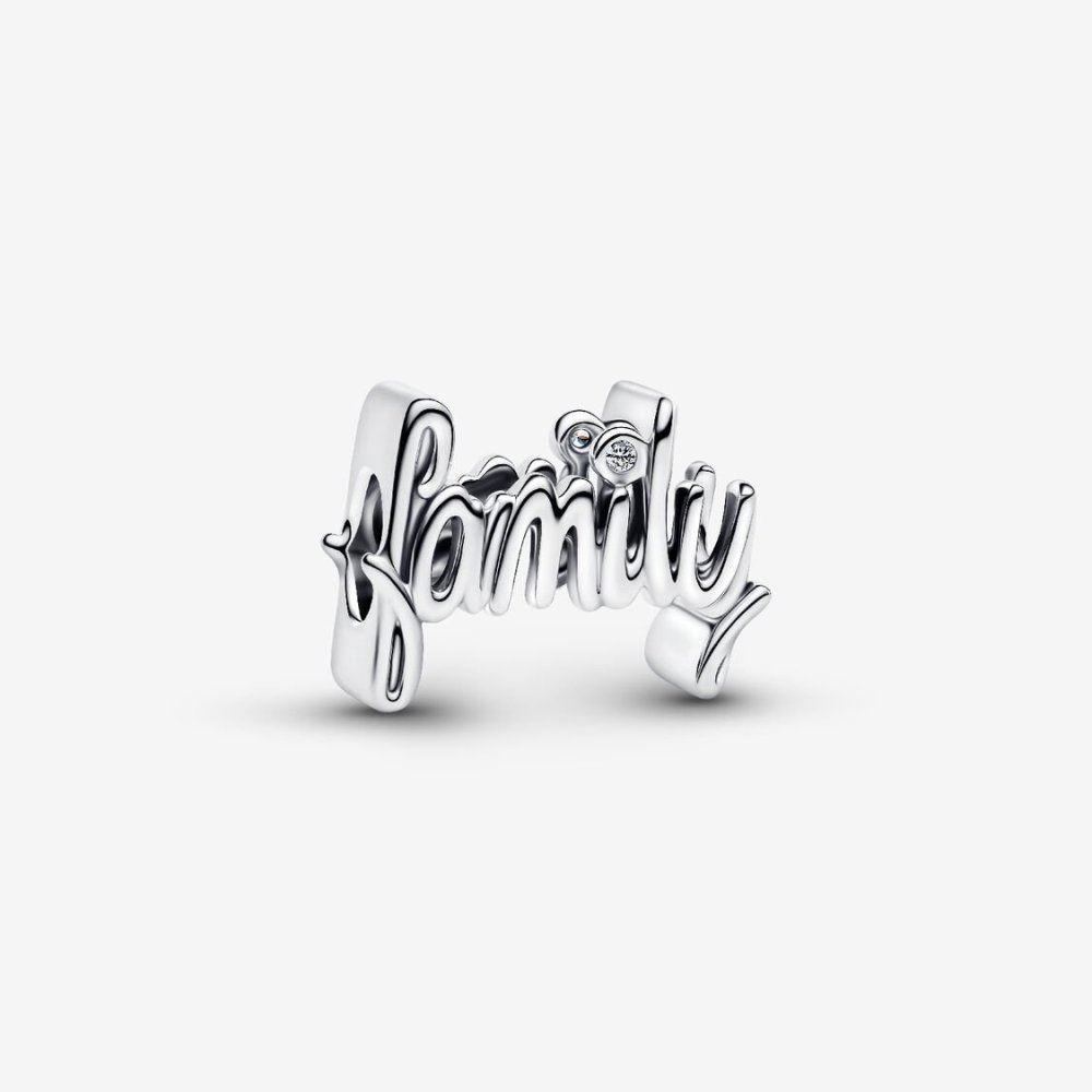 Charm "Family" Charm "Family"
