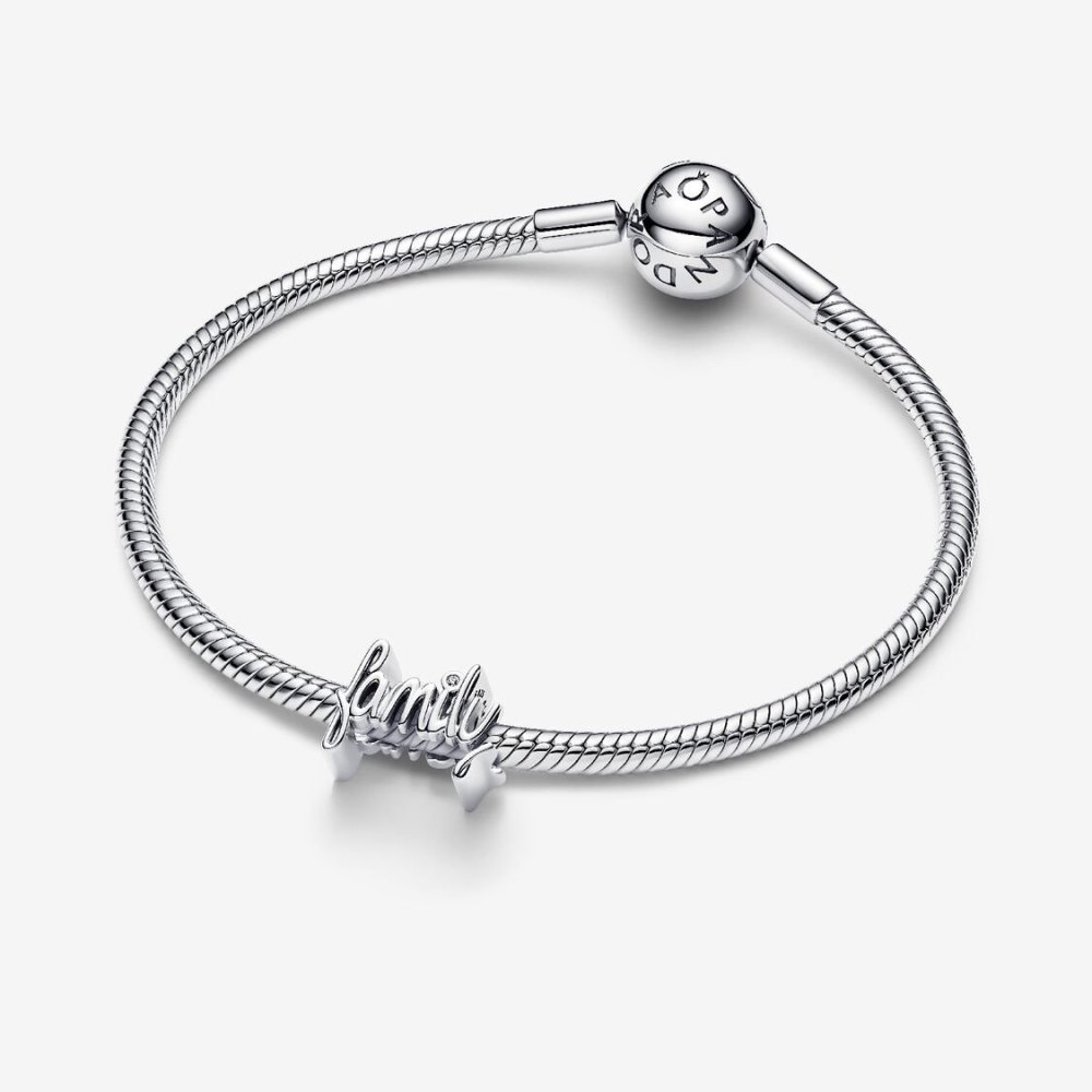 Charm "Family" Charm "Family"