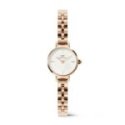 Daniel Wellington - Piccola Mini Arco - Oro Rosa