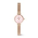 Daniel Wellington - Petite Mini Blush - Oro Rosa