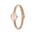 Daniel Wellington - Petite Mini Blush - Oro Rosa