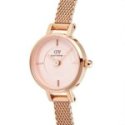 Daniel Wellington - Petite Mini Blush - Oro Rosa