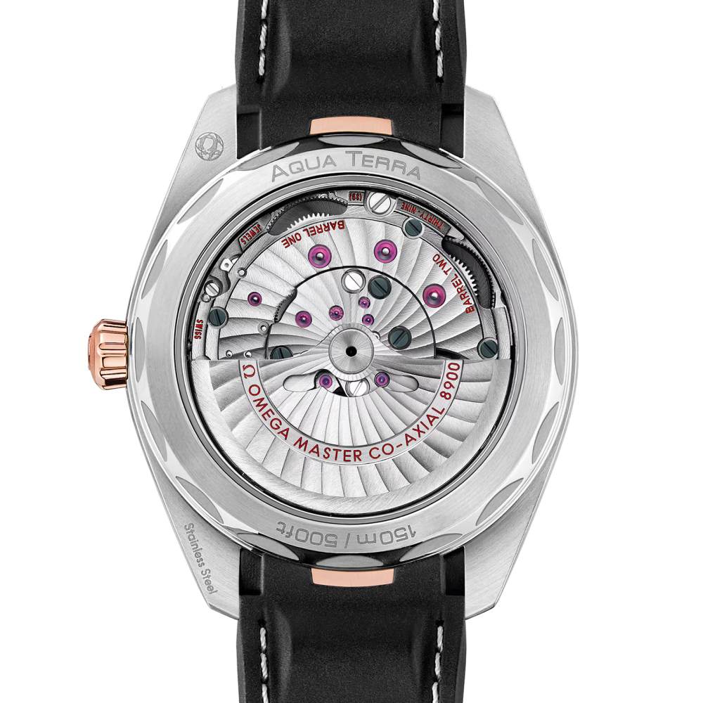 Seamaster Aqua Terra 150M 41 mm - Omega