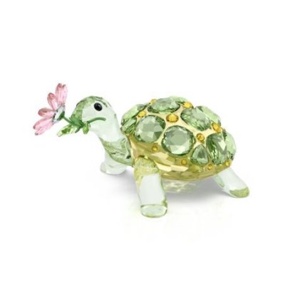 Idyllia Tartaruga e Margherita