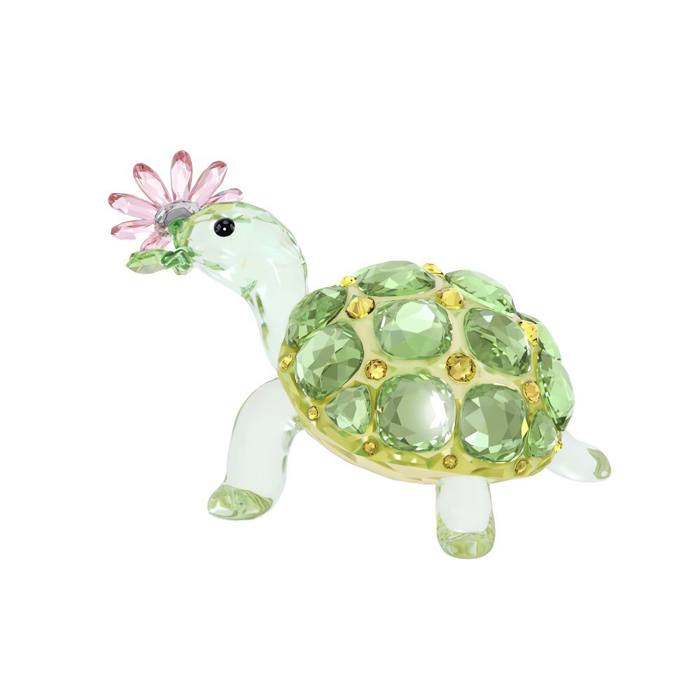 Idyllia Tartaruga e Margherita