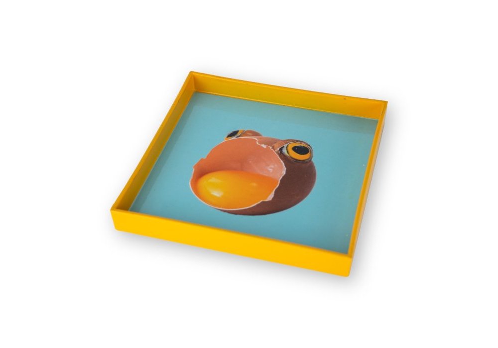 Vassoi Svuota Tasche Con Fondo Colorato E Stampa Collage Ocra - Wd Lifestyle