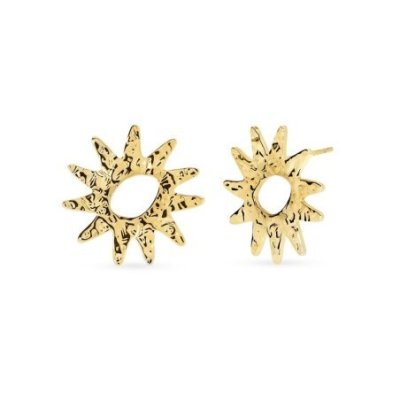 Kidult - Orecchini In Acciaio 316L - Pvd Giallo