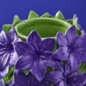 Werner Vos - Vaso Verano - Verde-Viola - Ceramica