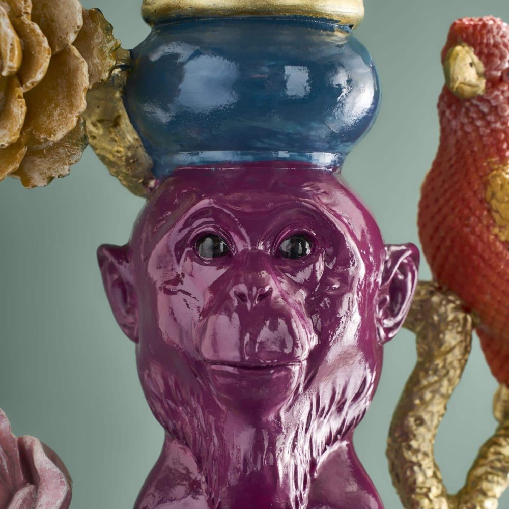 Werner Vos - Tavolino Scimmia - Multicolore