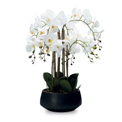 Henriette - Pianta Orchidea - 8 Rami - Real Touch