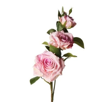 Henriette - Rose “Real Touch” - Schiuma - Rosa