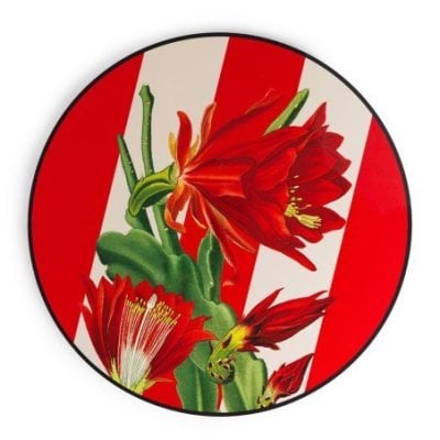 Henriette - Bouquet 5 Tulipani - Rosa - Flowers