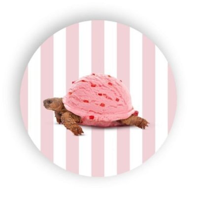 Wd Lifestyle - Sottopentola Tartaruga - Ceramica - 18 Cm