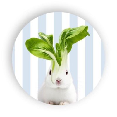 Wd Lifestyle - Sottopentola In Ceramica - Decoro Coniglio