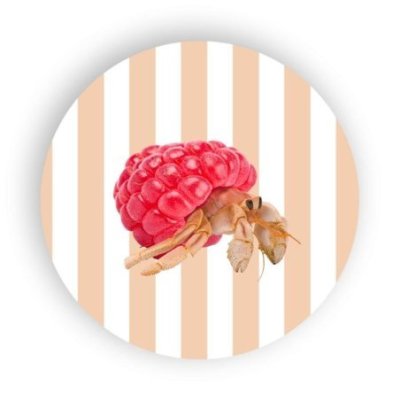 Wd Lifestyle - Sottopentola In Ceramica - Decoro Paguro