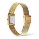 Daniel Wellington - Mini Evergold Legato - Oro - Acciaio
